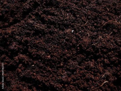 Photos Natural ground soil texture background
