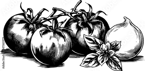 Vintage engraved illustration set of ripe tomatoes and basil sketch for retro design