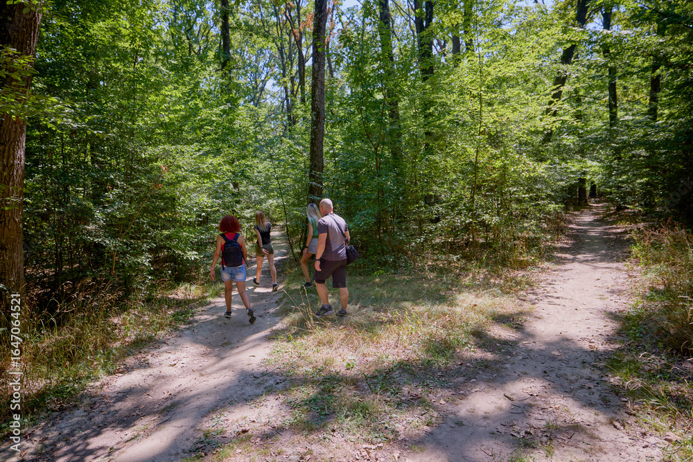 Fototapeta premium A group of people hiking through the forest and relaxing on a sunny summer day