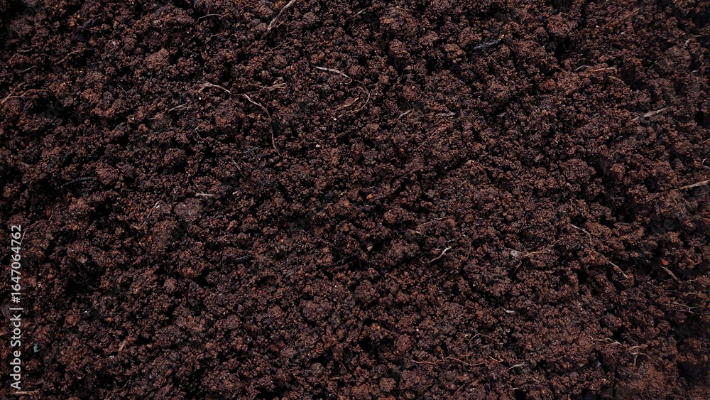 Foto Brown fertile soil texture background