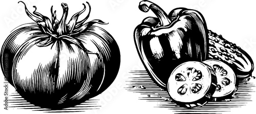 Vintage engraving of vine ripened tomato and bell pepper for art prints and labels