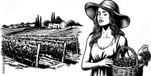 Vintage engraving set of woman harvesting grapes with countryside vineyard scene