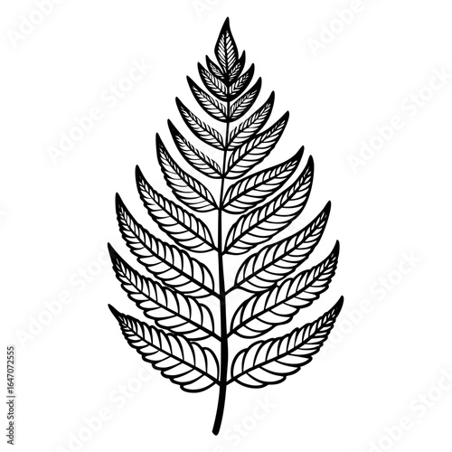 leaf of a tree