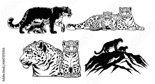 Various depictions of snow leopards including adults and cubs in black and white