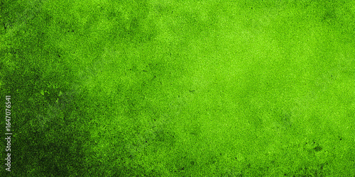 TEXTURA DE SUPERFICIE RÚSTICA VERDE