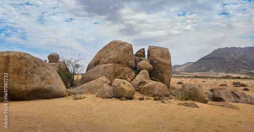 beautiful view of desert landscape with sand trees, rock and dunes under a clear blue sky and a single fluffy clouds, on Landscape photography.
