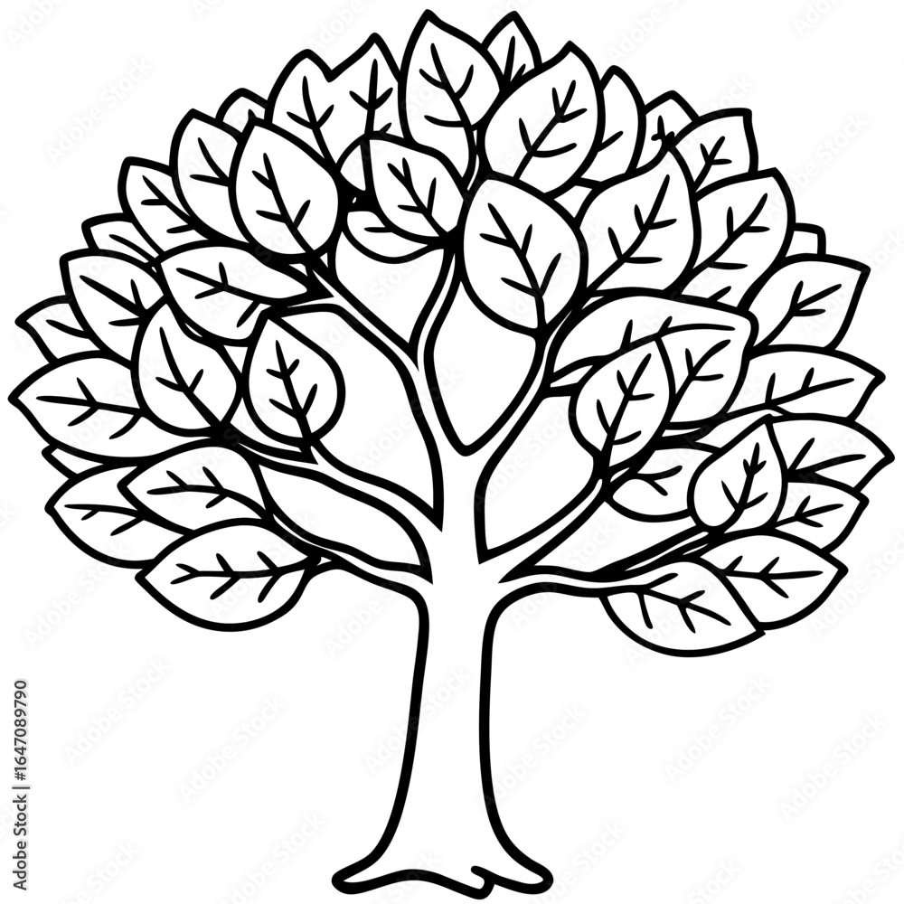 Obraz premium Fig Tree line art vector