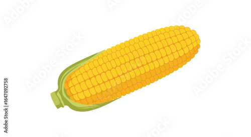 Single ear of corn with husk isolated on white background vector illustration