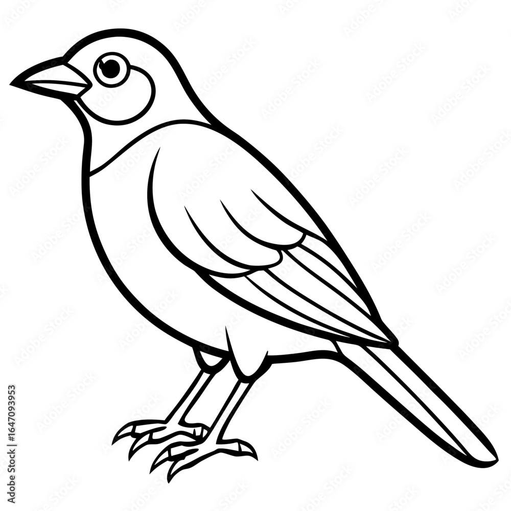 Obraz premium Nightingale line art vector