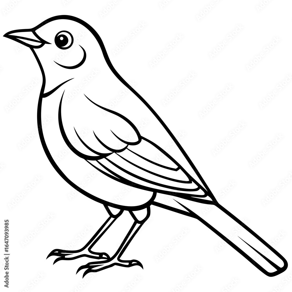 Obraz premium Nightingale line art vector
