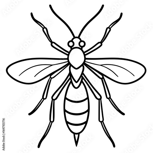 Gnat line art vector