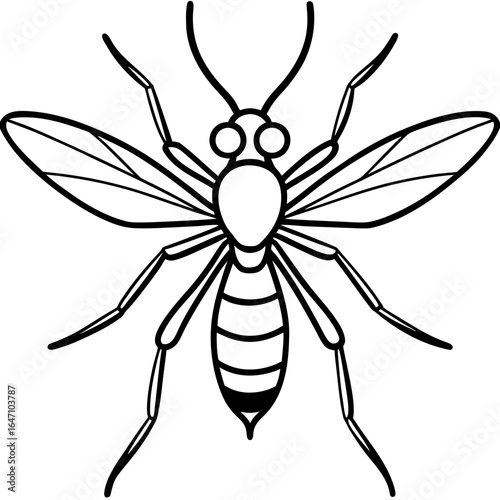 Gnat line art vector