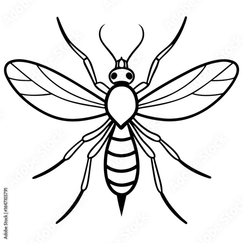 Gnat line art vector