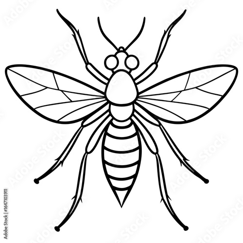 Gnat line art vector