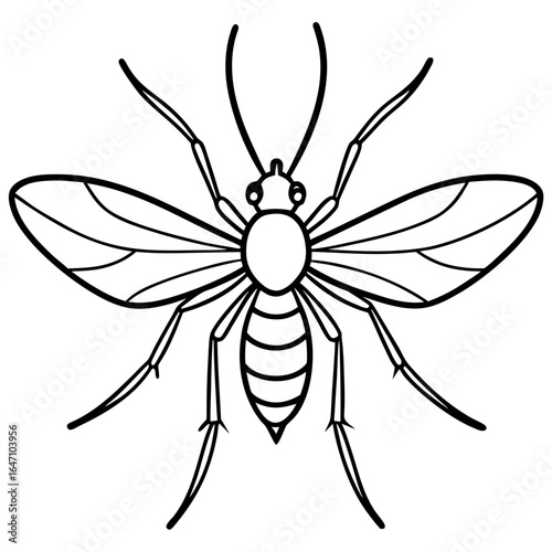 Gnat line art vector