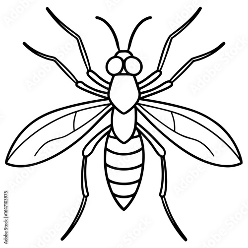 Gnat line art vector