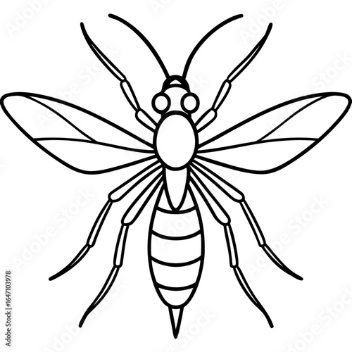 Gnat line art vector