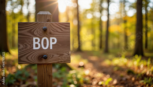 Wooden directional sign reading 'BOP' in sunlit forest path  