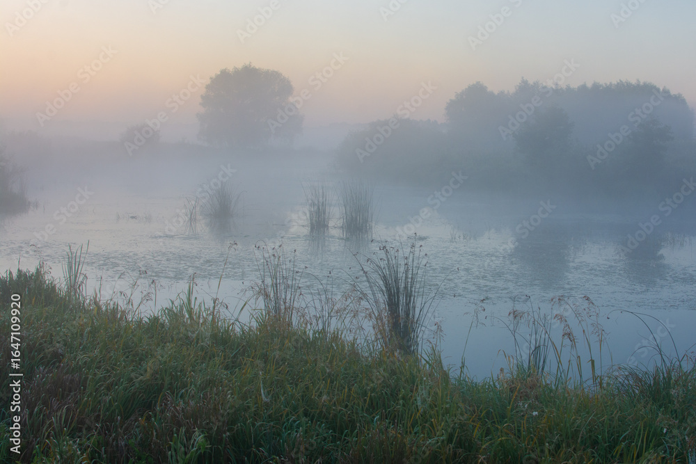 Fototapeta premium thick fog over the lake in the meadows