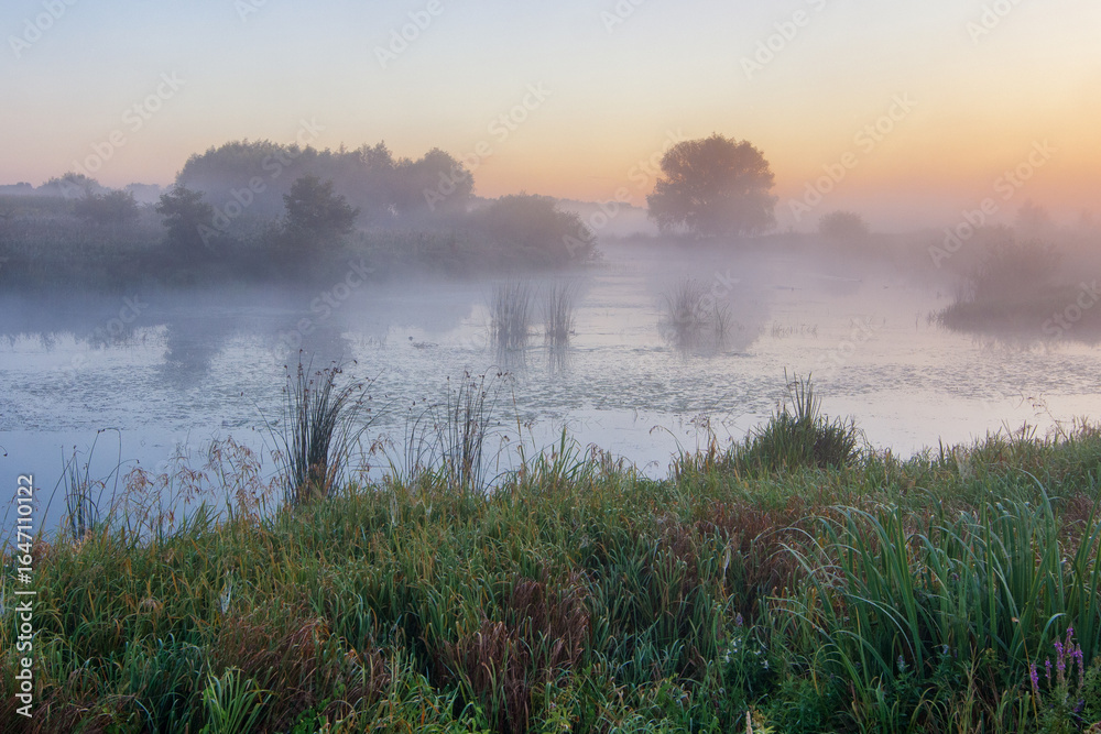 Fototapeta premium morning mist over the river with willows