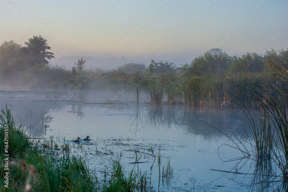 Fototapeta premium fog on the river