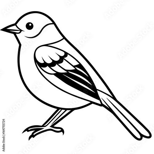 Kinglet line art vector