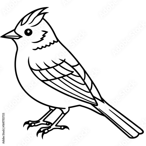 Kinglet line art vector