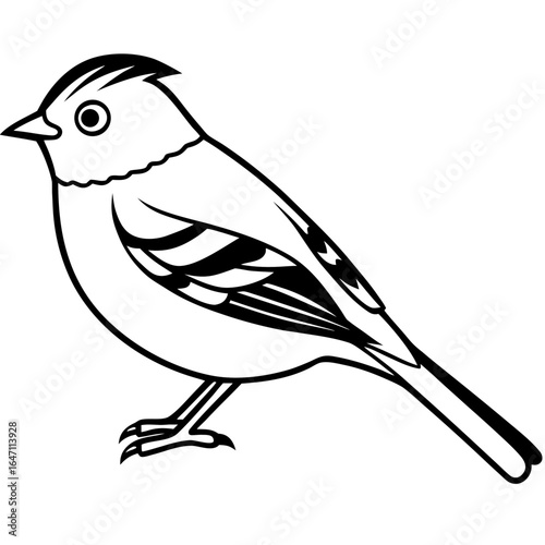 Kinglet line art vector