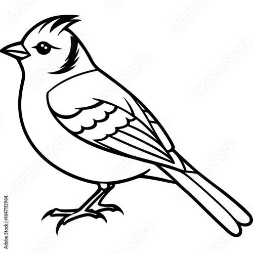 Kinglet line art vector
