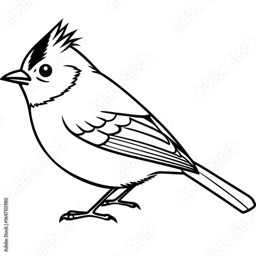 Kinglet line art vector