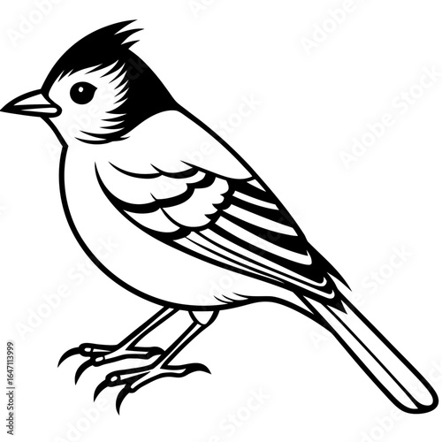 Kinglet line art vector