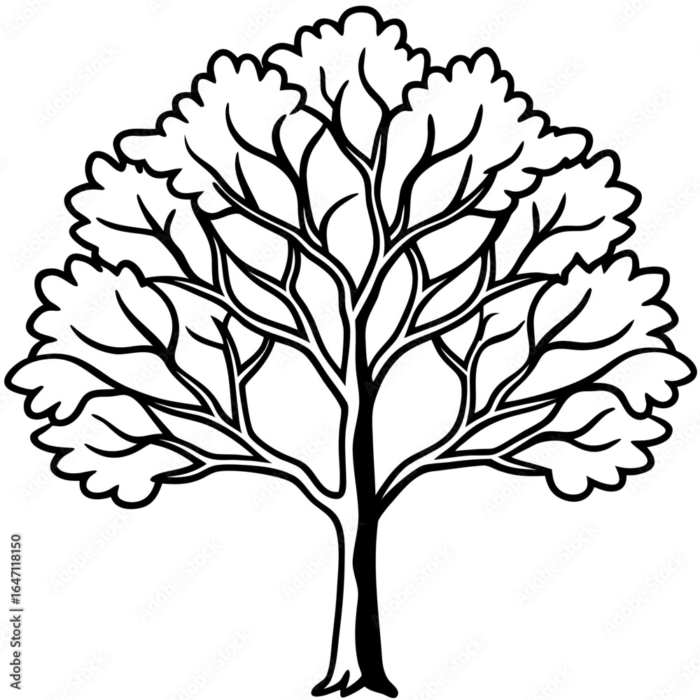 Obraz premium Eastern Redbud line art vector