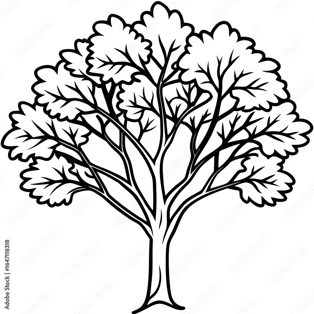 Obraz premium Eastern Redbud line art vector