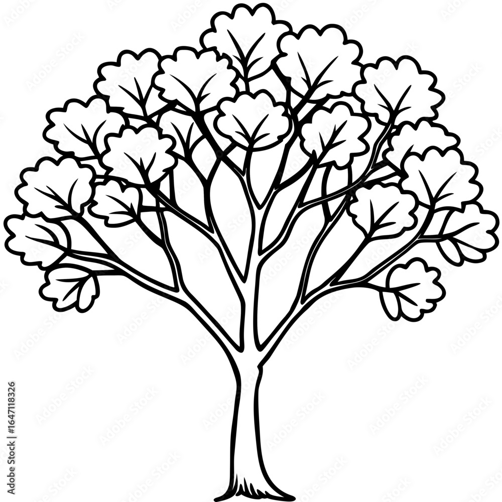 Obraz premium Eastern Redbud line art vector