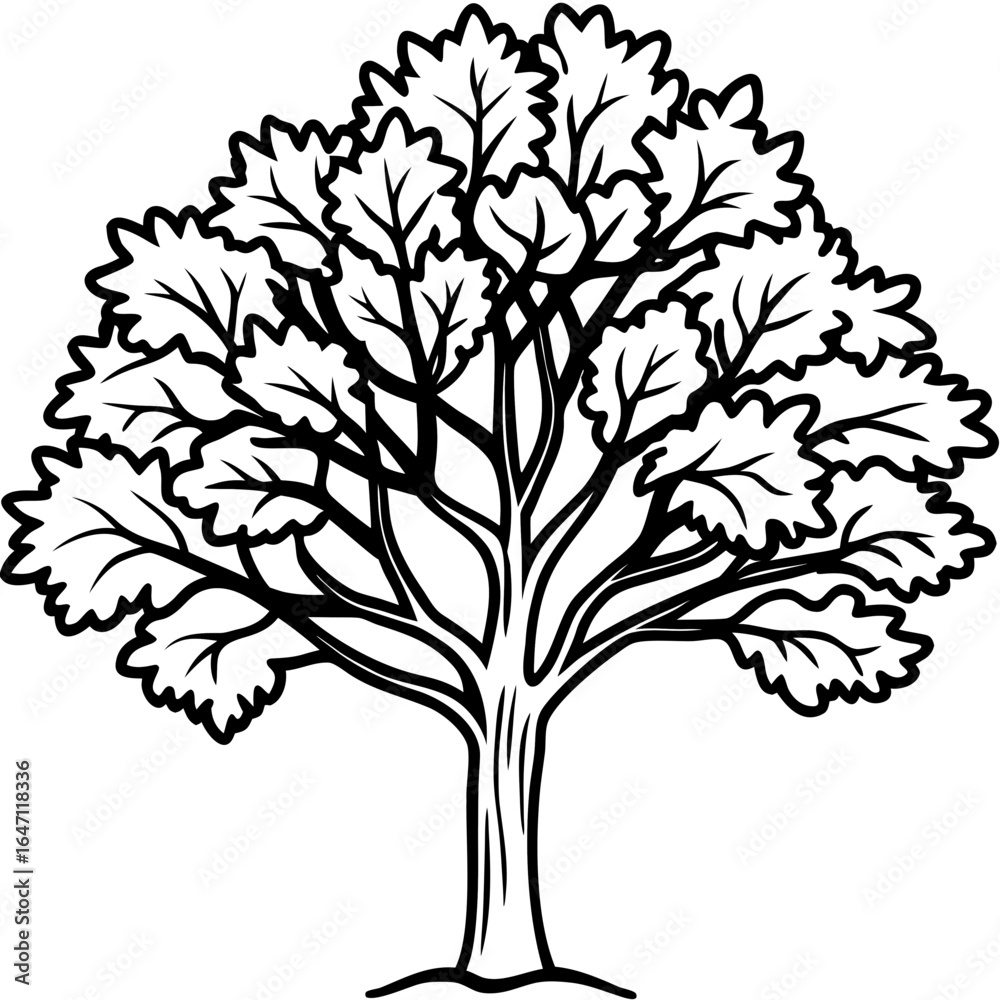 Obraz premium Eastern Redbud line art vector