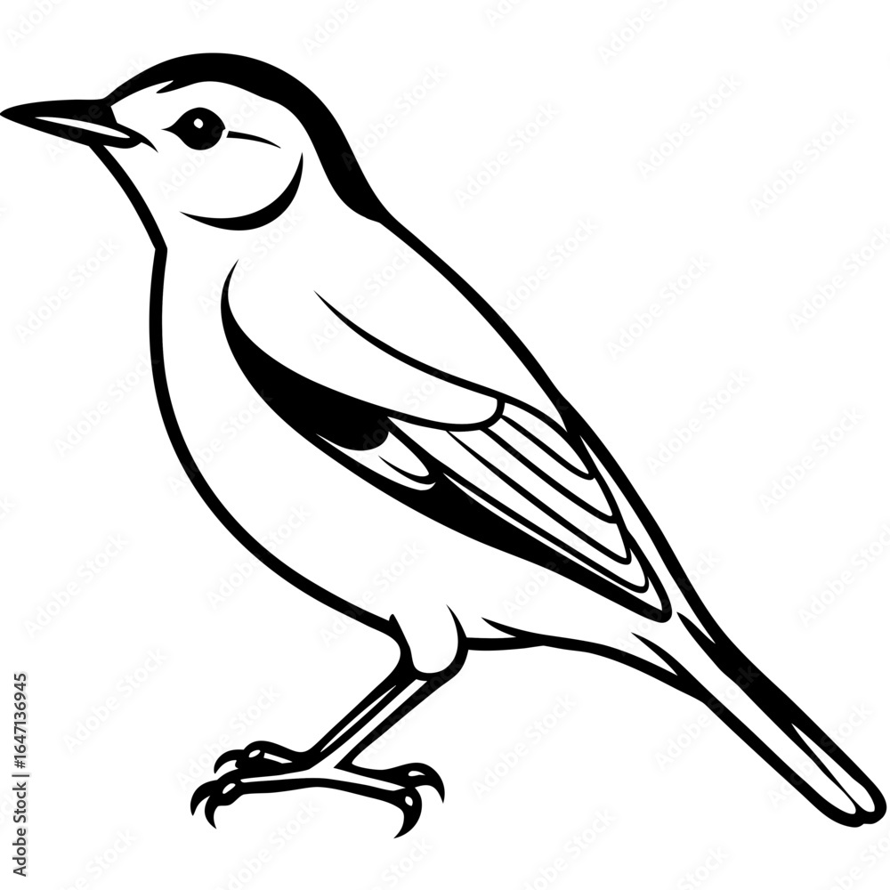 Obraz premium Nuthatch line art vector