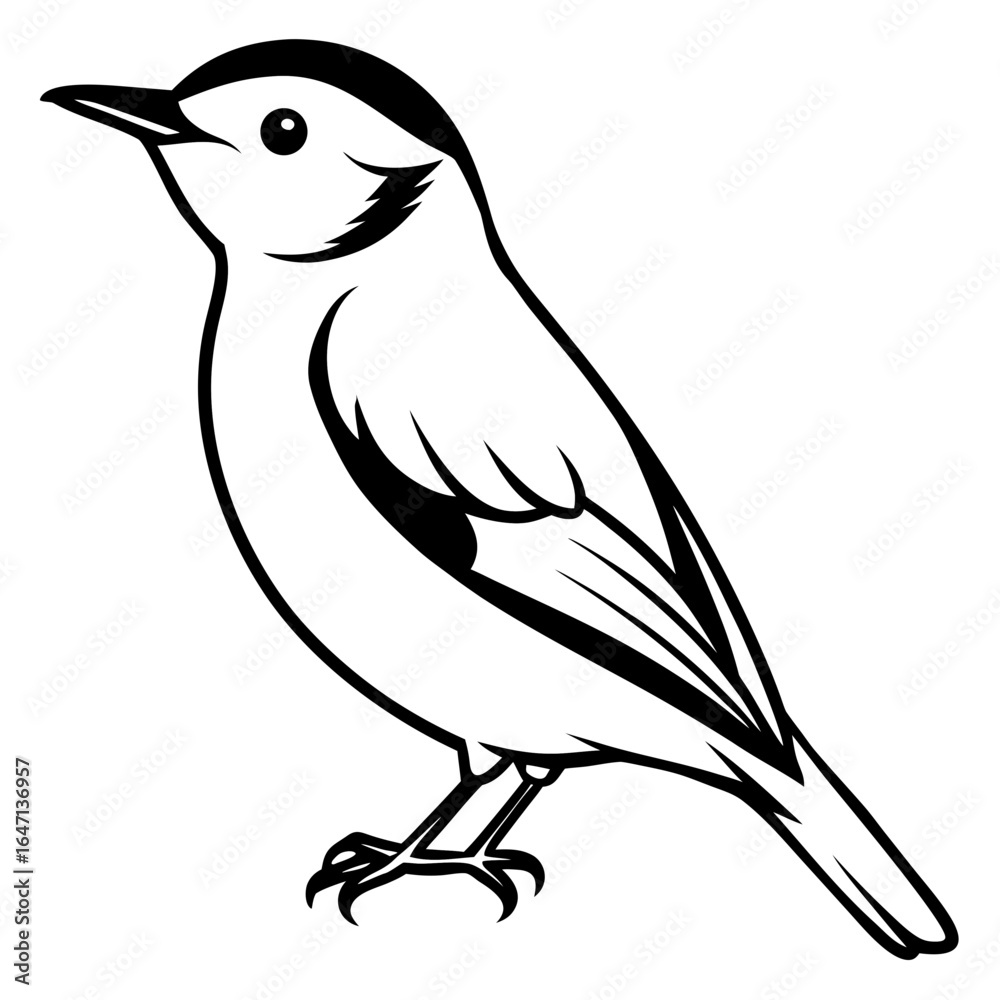 Obraz premium Nuthatch line art vector