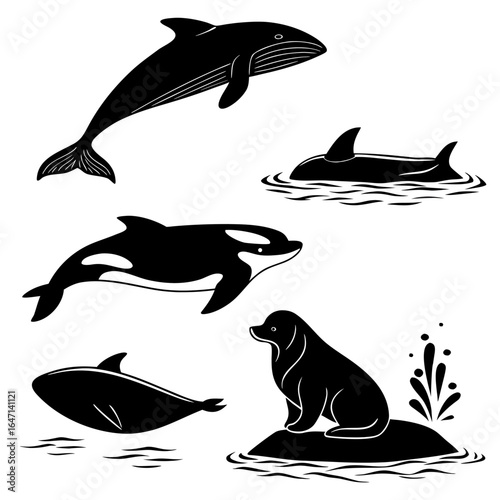 Black silhouette marine mammals and seal on white background whale dolphin