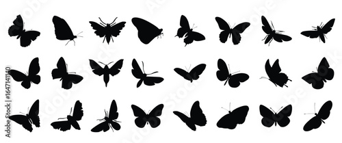 Set of butterfly silhouette vector butterflies moth