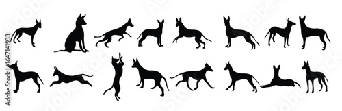 pharaoh hunting dog silhouette vector illustration collection