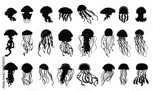 Set of Jellyfishes vector