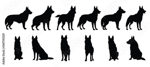 set of silhouettes of german shepherd dog sit and standing. isolated on a transparent background,