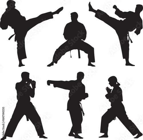 Martial artists performing various combat stances martial arts