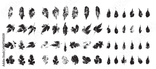 Set of Texture Leaves