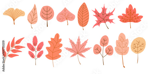Set of autumn leaves in delicate shades, cozy leaf from different types of trees