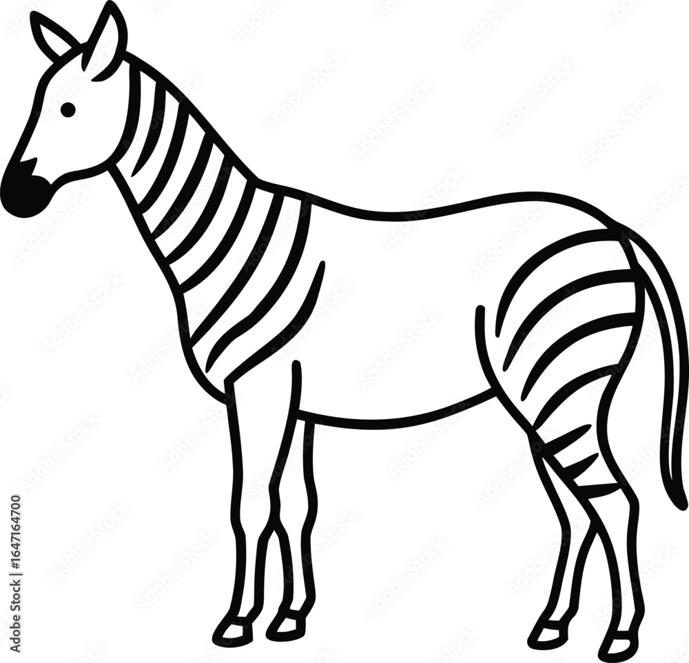 Obraz premium zebra vector illustration