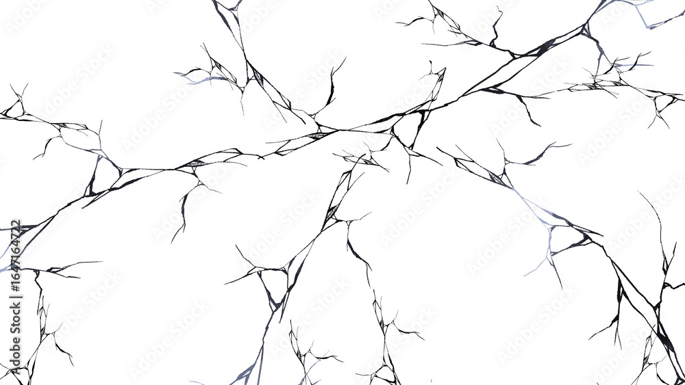 Obraz premium barbed wire isolated
