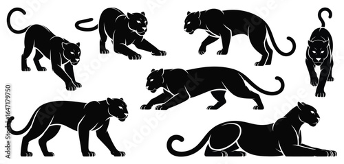 Silhouettes of black panthers in various poses