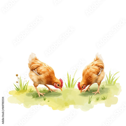 Two brown chickens foraging in green grass in a natural setting  