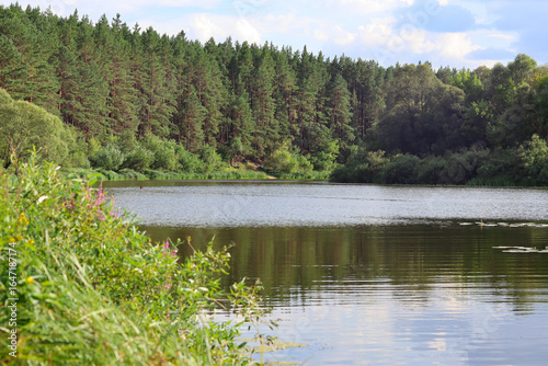 lake and forest